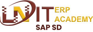 sap-sd.png