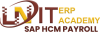 SAP-HCM-Payroll.png SAP-HCM-Payroll.png
