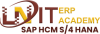 SAP-HCM-S4-HANA.png SAP-HCM-S4-HANA.png