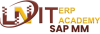 SAP-MM.png SAP-MM.png