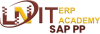 SAP-PP.png SAP-PP.png